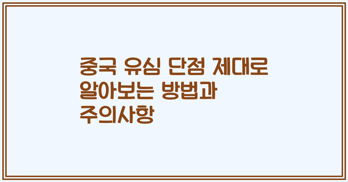중국 유심 단점 제대로 알아보는 방법과 주의사항