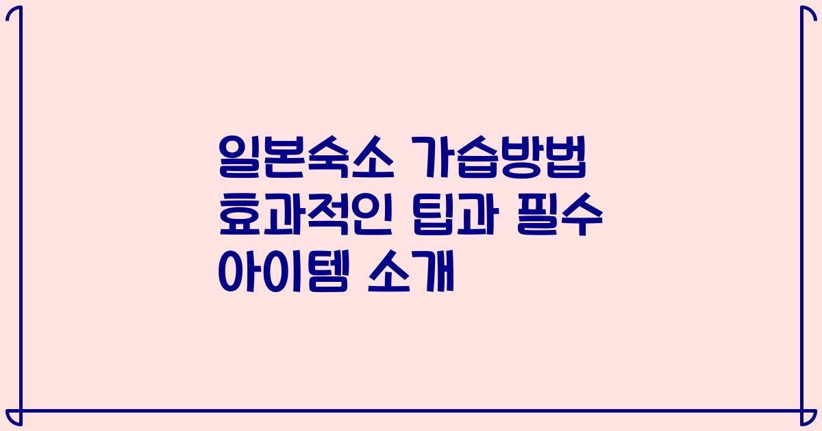 일본숙소 가습방법 효과적인 팁과 필수 아이템 소개